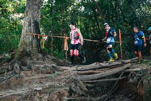 BIB: 
                            <button type="button" onclick="openModal(27755983)" class="btn btn-primary btn-sm float-right btn-popup" data-toggle="modal" data-target=".modal-high-quality">
                        <i class="fas fa-shopping-cart"></i> Add to Cart
                    </button>
                                            <button type="button" onclick="isThisMe(27755983, true)" class="btn btn-success btn-sm float-right btn-popup btn-isme hidden" data-toggle="tooltip" data-placement="bottom" title="นี่คือรูปของคุณใช่ไหม คลิกที่นี่เพื่อเอาเข้าอัลบั้ม">
                        <i class="fas fa-plus"></i> Add to album
                    </button>
                    <button type="button" onclick="isThisMe(27755983, false)" class="btn btn-warning btn-sm float-right btn-popup btn-isnotme hidden">
                        <i class="fas fa-ban"></i> Remove from album
                    </button>